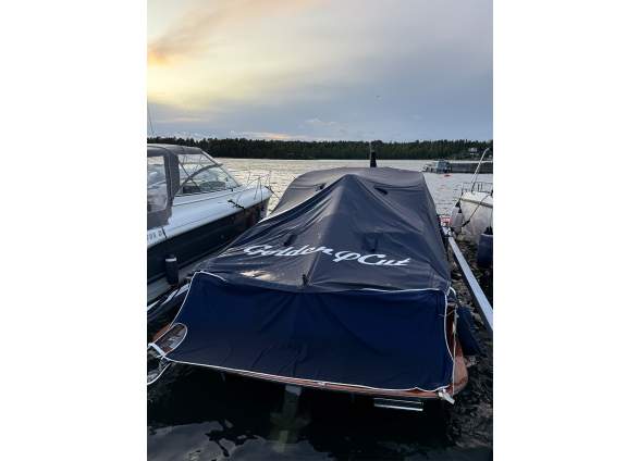 2025-12/16golden-cut-28w-ex