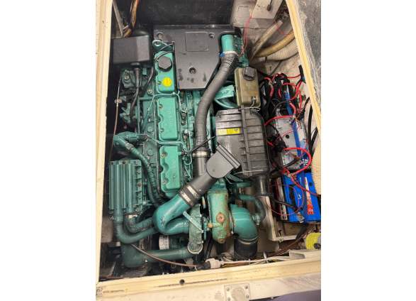 2026-02/16-bertram-moppie