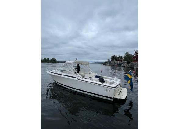 2026-02/1770119750_4-bertram-moppie